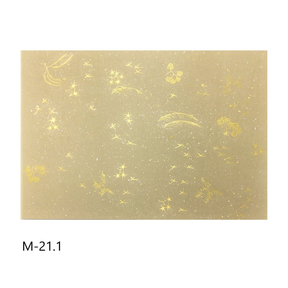 640580209a02850001b36fb8
