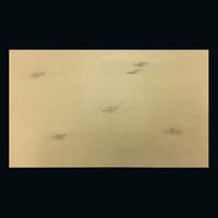 清書用 深窓秘抄 1枚売り