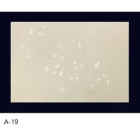 清書用 手描き 三十六人集紋様 染全体砂子 1枚売り