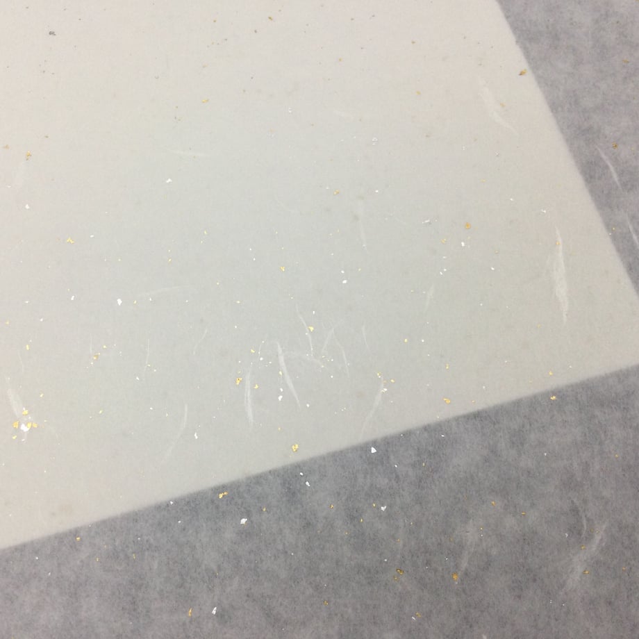645c446013edcc002e022138