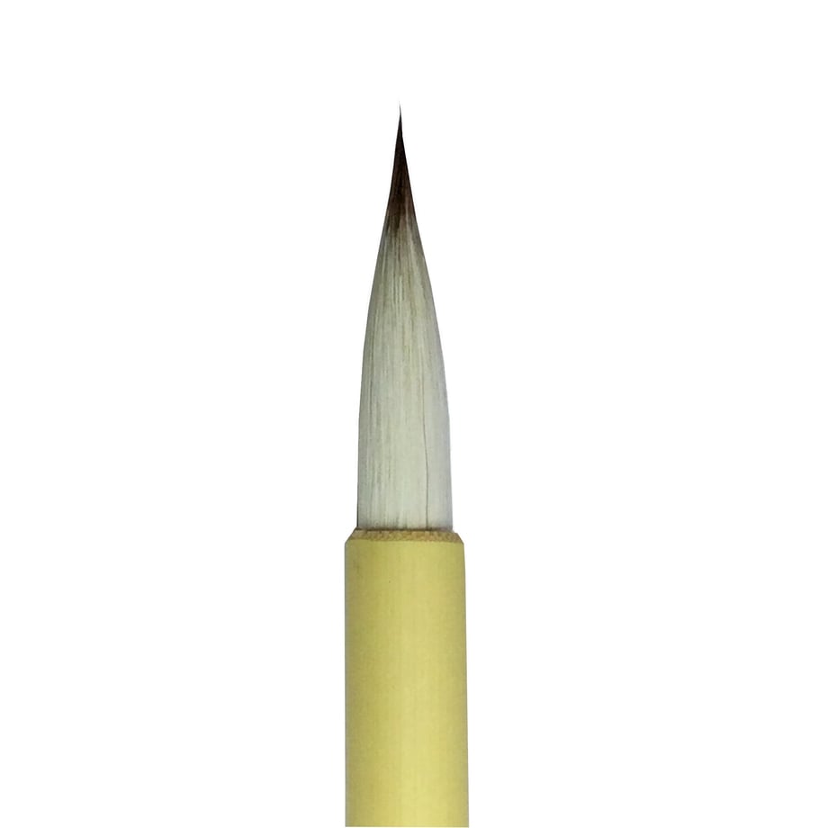 62c5107400460776e8497514