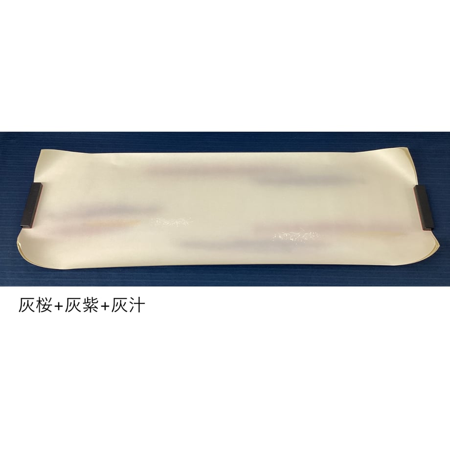 6a1934da6b59290042cce19a