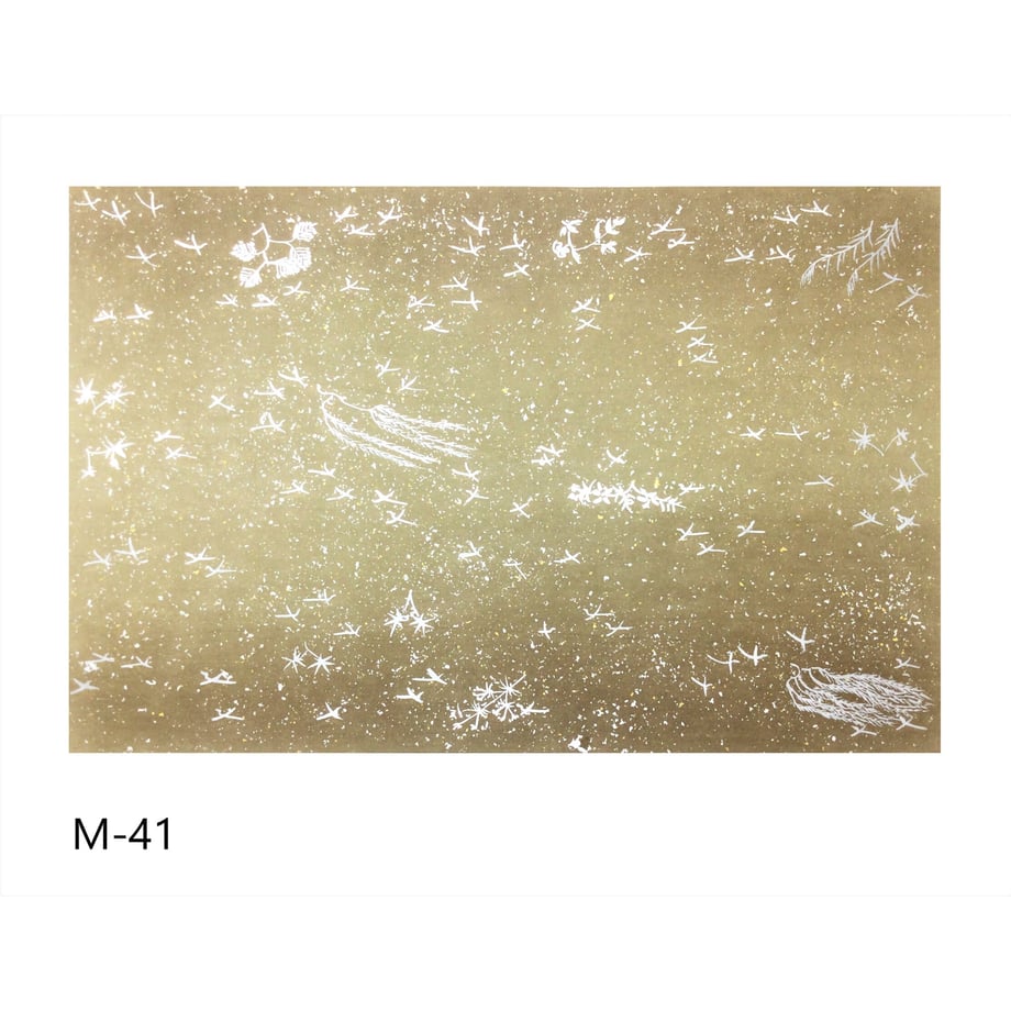 640580219a02850001b36fc5