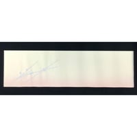 28㎝×100㎝　大和草ぼかし梅紋様（銀パールどり）　1枚売り