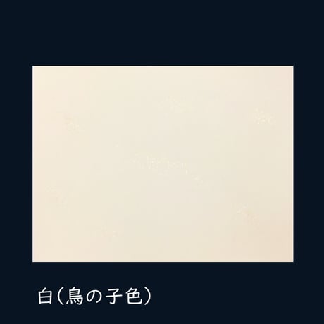 CATEGORY 全懐紙 | かな料紙専門店 こきん