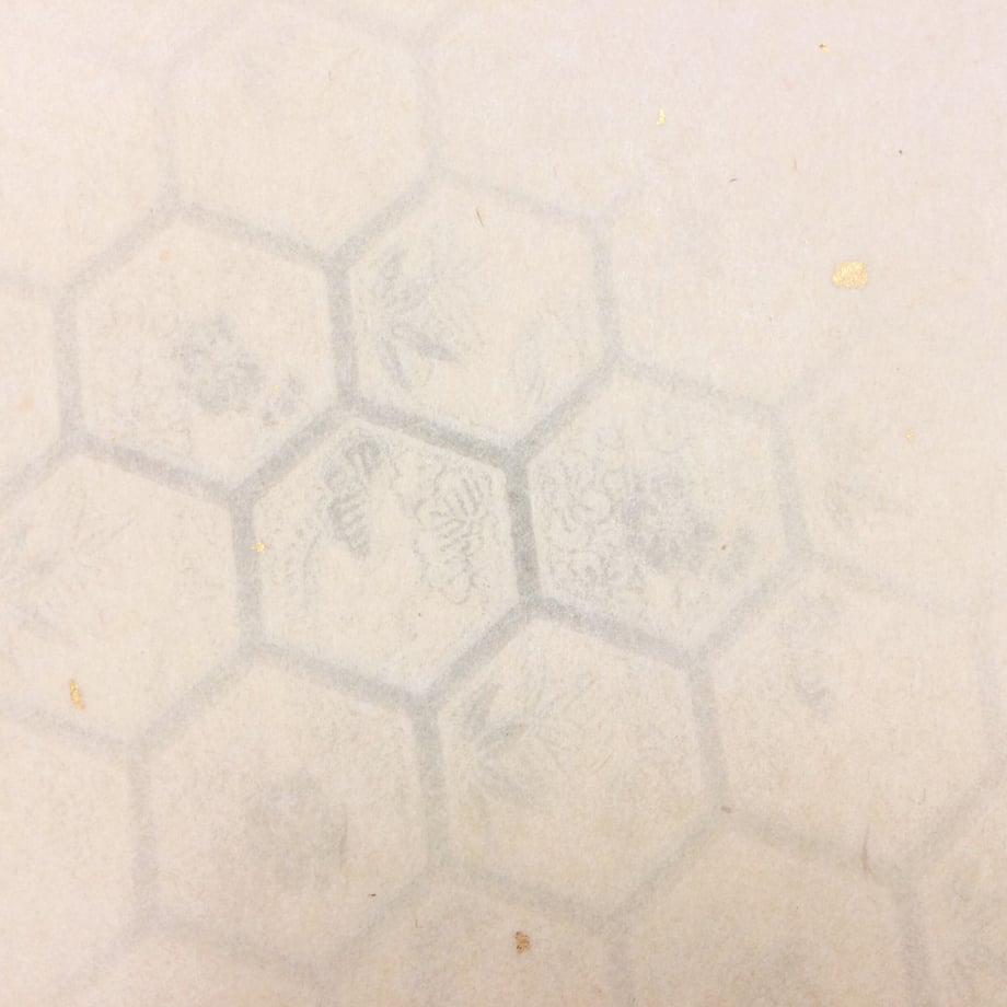 620b079e113ce005d4b62c51