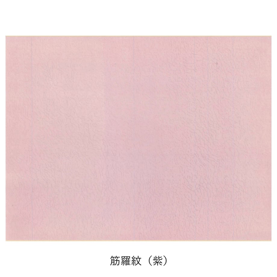 5c5401d1aee1bb1bc34180e2