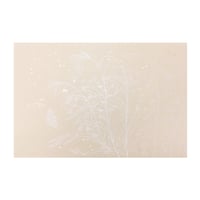 清書用 手描き 三十六人集紋様 染紋様（秋草） 1枚売り
