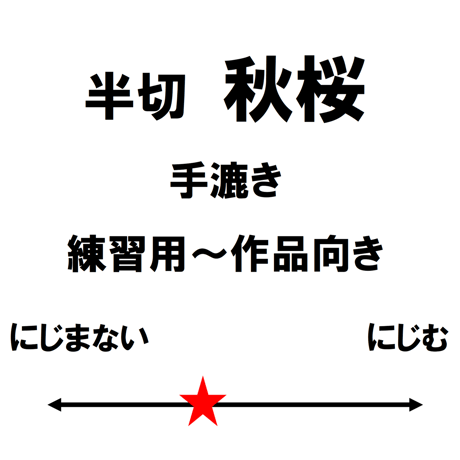 半切　秋桜（白）