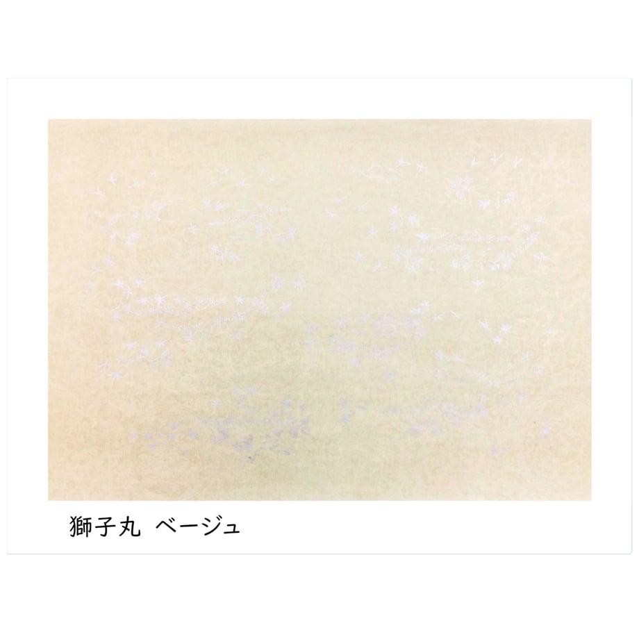 6153f0e6e1fb4c0b61e2e901