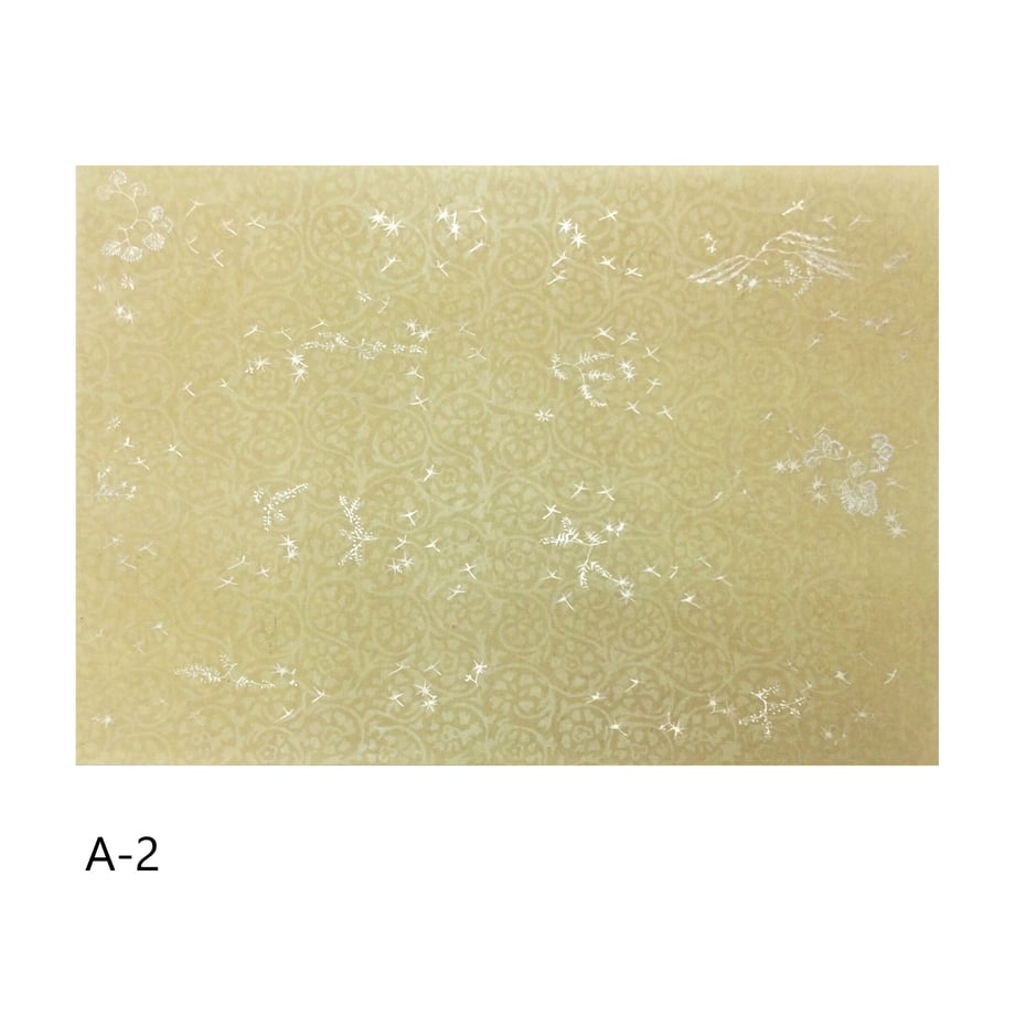 63da005a5c88a2000127e00d