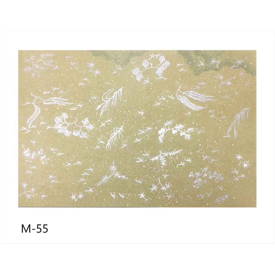 640580219a02850001b36fc5