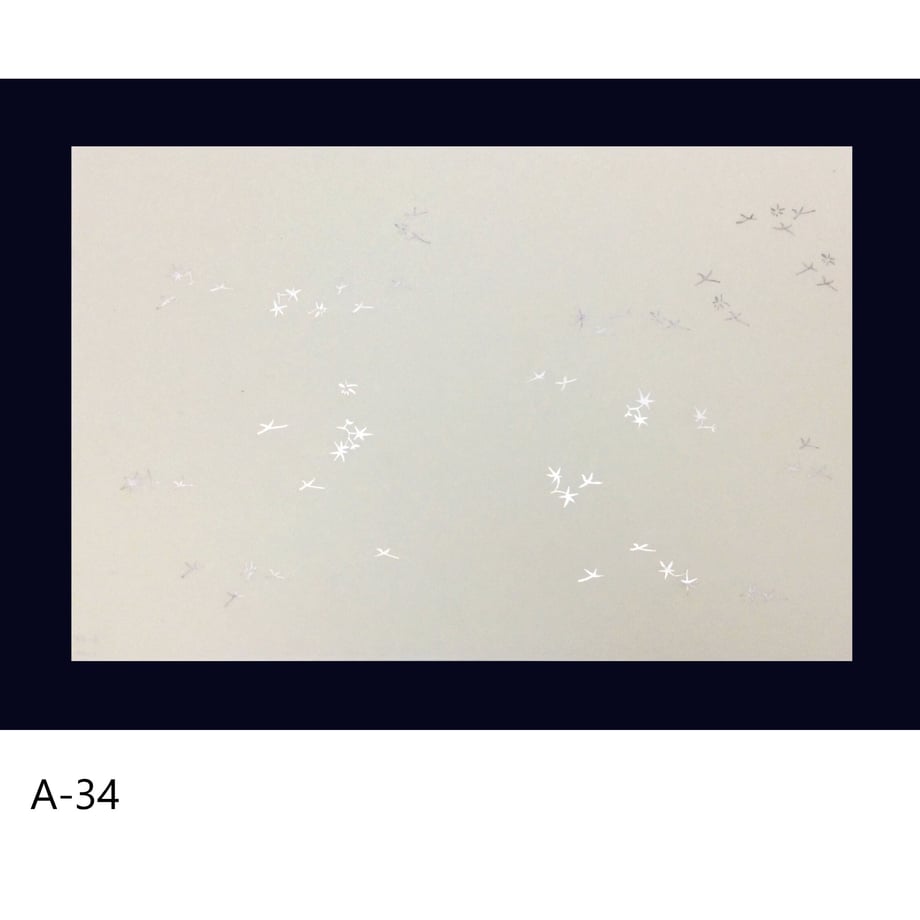 63da00535c88a2000127df3b