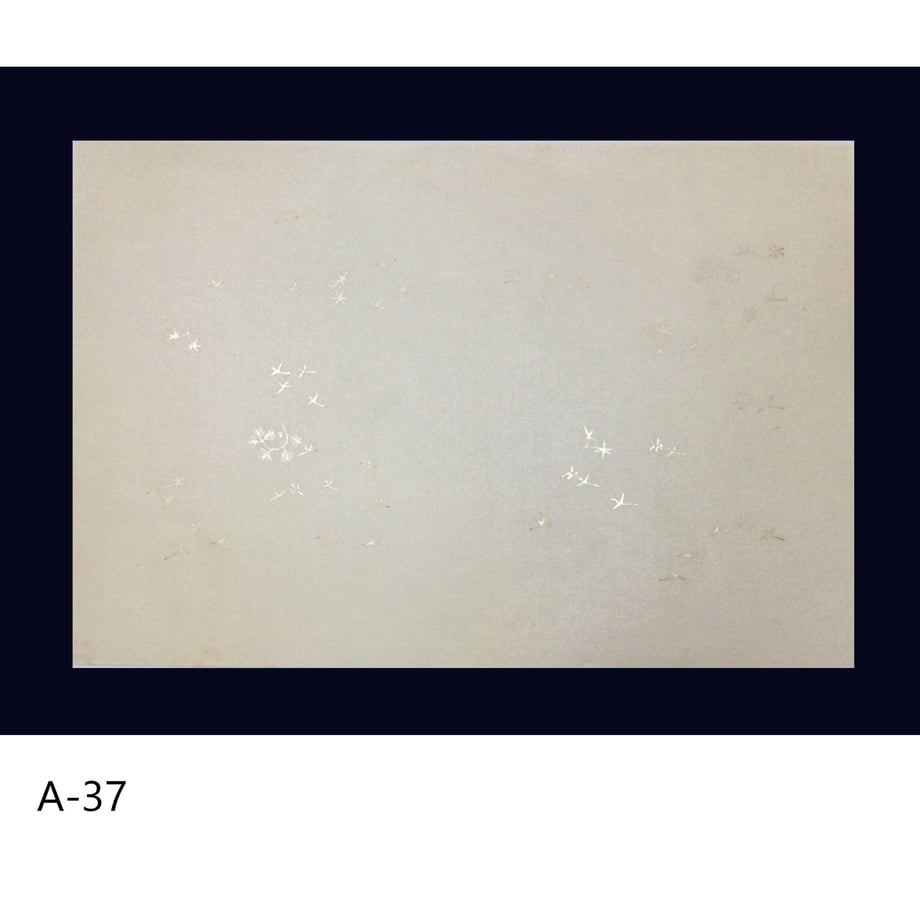 63da00545c88a2000127df60
