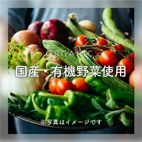 フェリシエッタビスケット　かぼちゃ[小麦]【乳製品不使用】