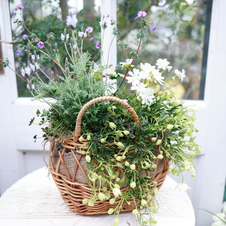 マニー　コラージュバスケット CATEGORY ¥12,000〜 | coconiwa