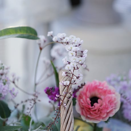 春の花苗セレクション