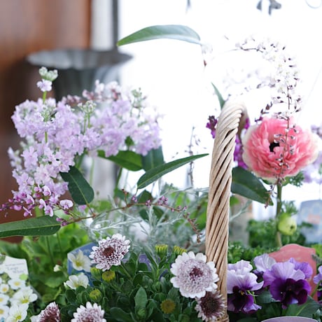 春の花苗セレクション