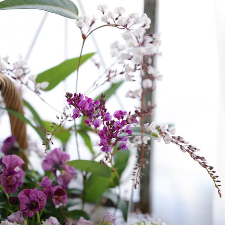 春の花苗セレクション ブルー