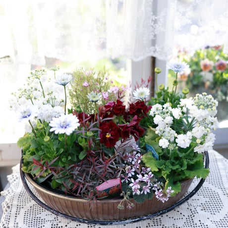 STORES 春の検索結果