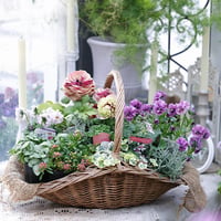 春の花苗セレクション𓂂𓏸 𓂃ピンク