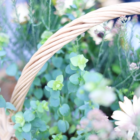 自分で植える花苗セット　ベージュピンク
