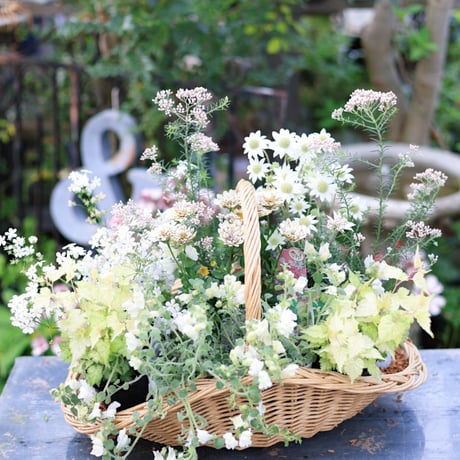 自分で植える花苗セット　ホワイト&ベージュ