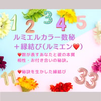 専用)ルミエン❤️お申し込みページ