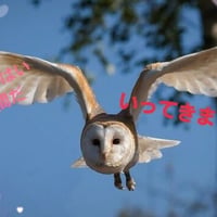 あなた専用式神・願いを叶えにお宅訪問！