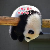 「今辛い！をなんとかしたい」カウンセリング