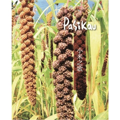 Pasikau臺東桃源部落：種是為了你