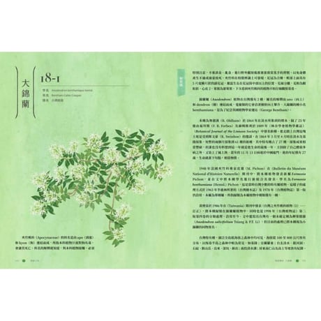 療癒之島：在60種森林香氣裡，聞見台灣的力量