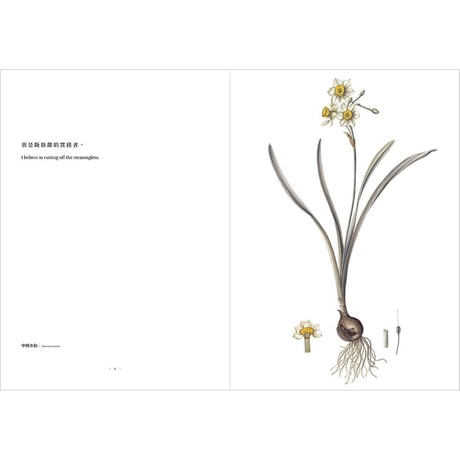 植物情人 The Plant lover：臺灣第一本水彩古典植物畫