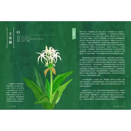療癒之島：在60種森林香氣裡，聞見台灣的力量