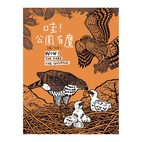 哇！公園有鷹