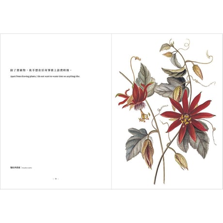 植物情人 The Plant lover：臺灣第一本水彩古典植物畫