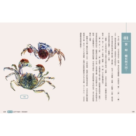 花飛、花枝、花蠘仔：台灣海產名小考
