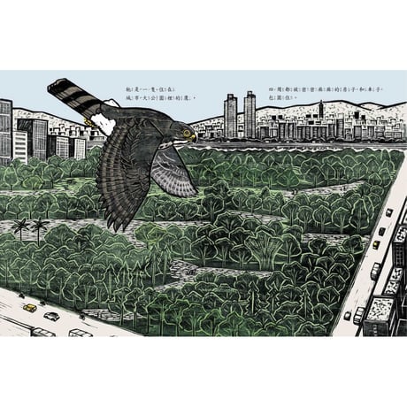 哇！公園有鷹