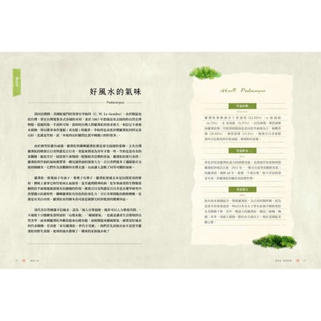 療癒之島：在60種森林香氣裡，聞見台灣的力量