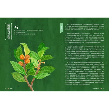 療癒之島：在60種森林香氣裡，聞見台灣的力量