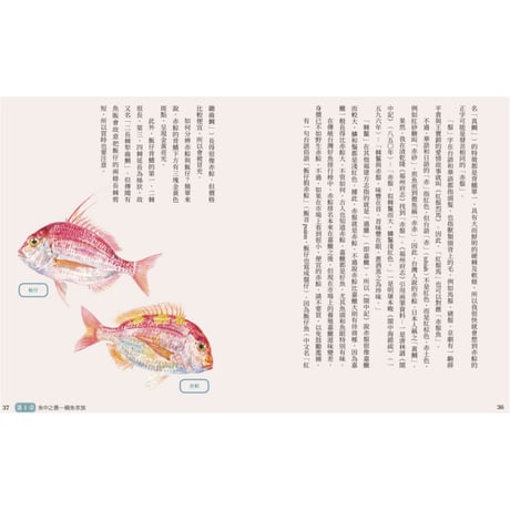 花飛、花枝、花蠘仔：台灣海產名小考