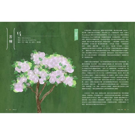 療癒之島：在60種森林香氣裡，聞見台灣的力量