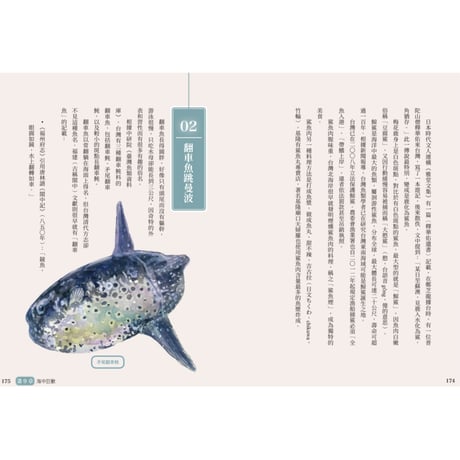 花飛、花枝、花蠘仔：台灣海產名小考