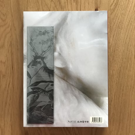 不朽的青春—臺灣美術再發現：展覽圖錄（赤）