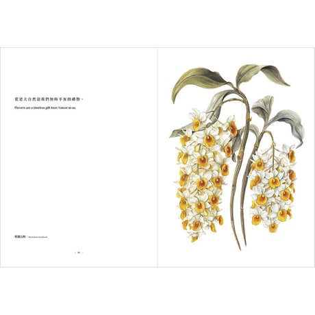 植物情人 The Plant lover：臺灣第一本水彩古典植物畫