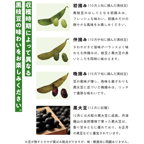 【期間限定】丹波黒枝豆　300g