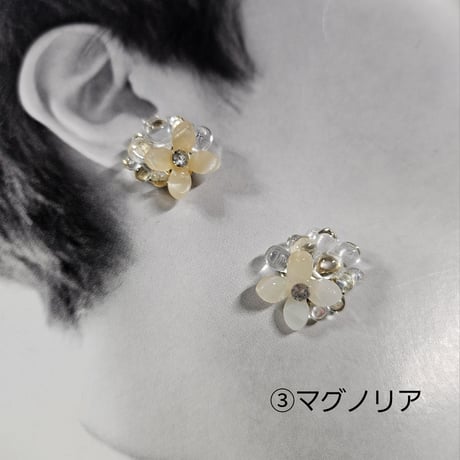 花の雫ーマグノリア