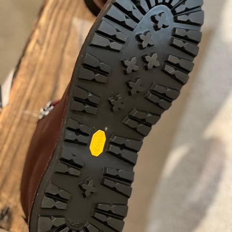 Danner TRAIL FIELD D.BROWN