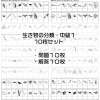 生き物の分類【中級１】１０枚セット