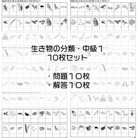 CATEGORY 理科的常識 | IXSIA SHOP